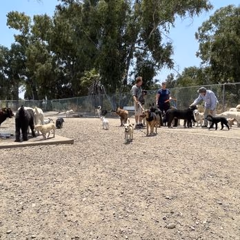 Dog Park at Veterans Barrington Park photo 1